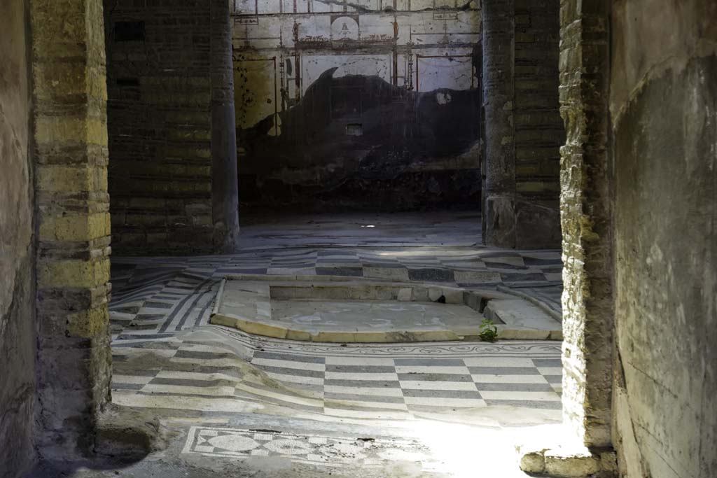 IV.2 Herculaneum, August 2021.
Looking east towards atrium showing the undulation of the mosaic flooring and impluvium. Photo courtesy of Robert Hanson